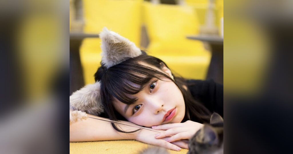 まいぱんとは?プロフィール・ショートドラマ・YouTubeの魅力を解説