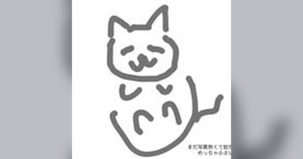 らんとは?韓国・日本の暮らし動画・モッパン・公式SNSを解説