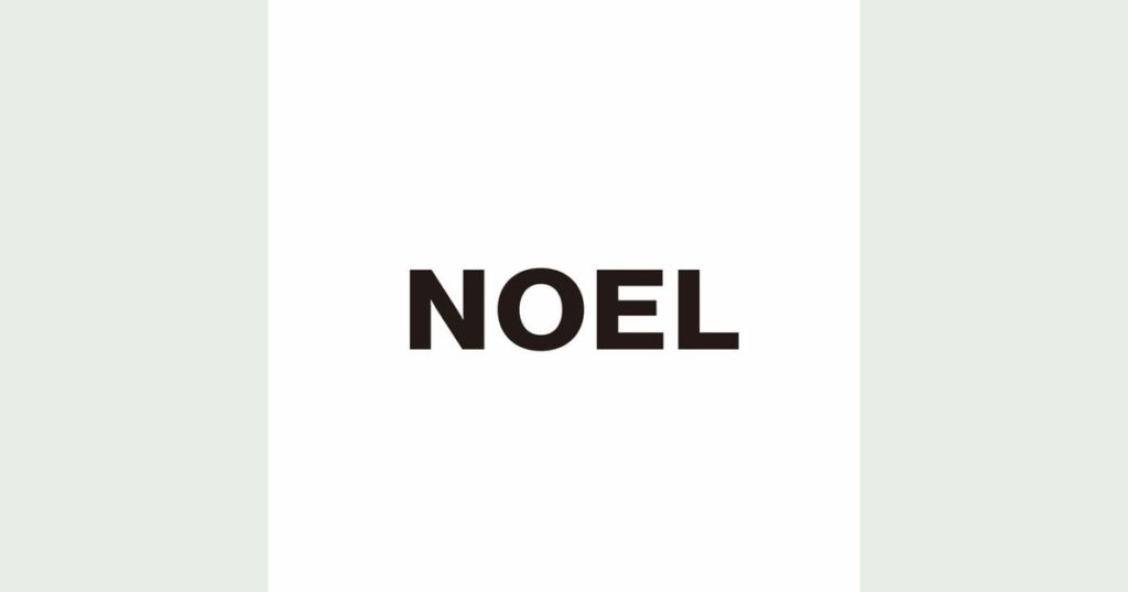 NOELとは？ファッション投稿と公式TikTokを紹介